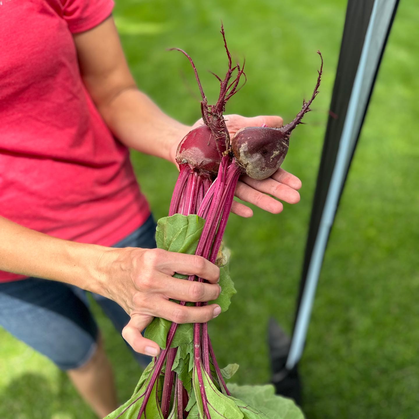 Beets