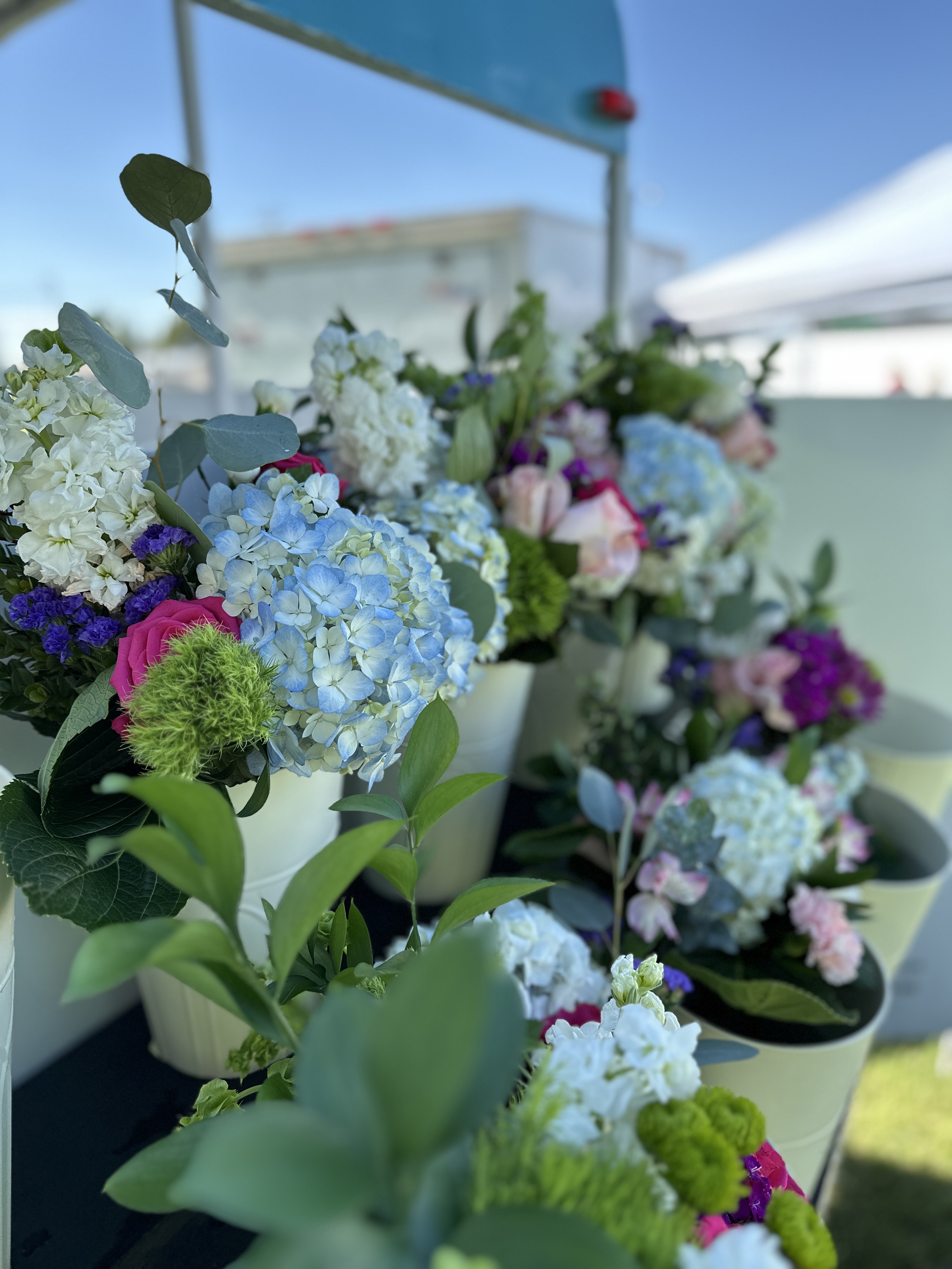 Bella Bloom Flowers