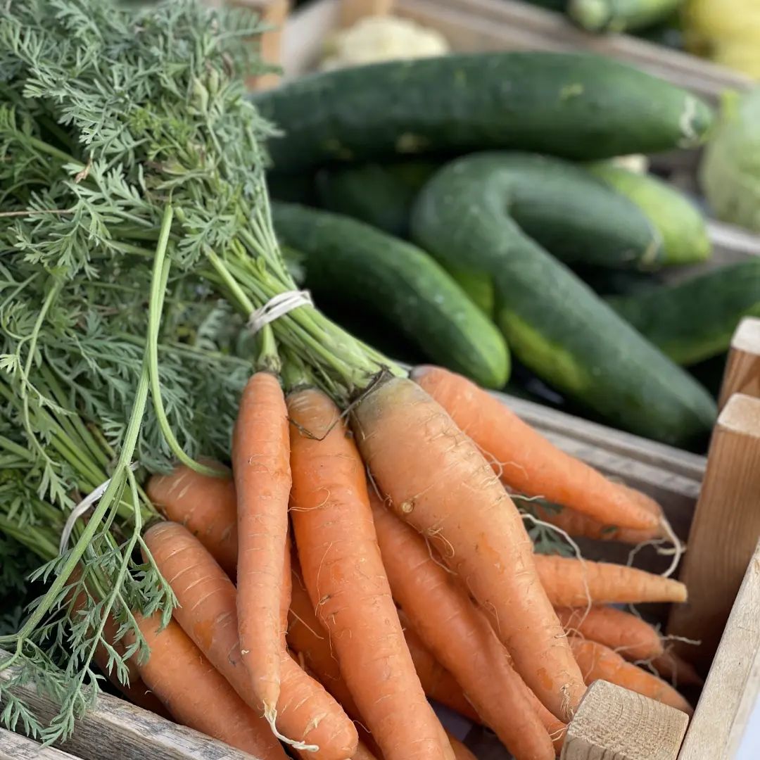 Carrots