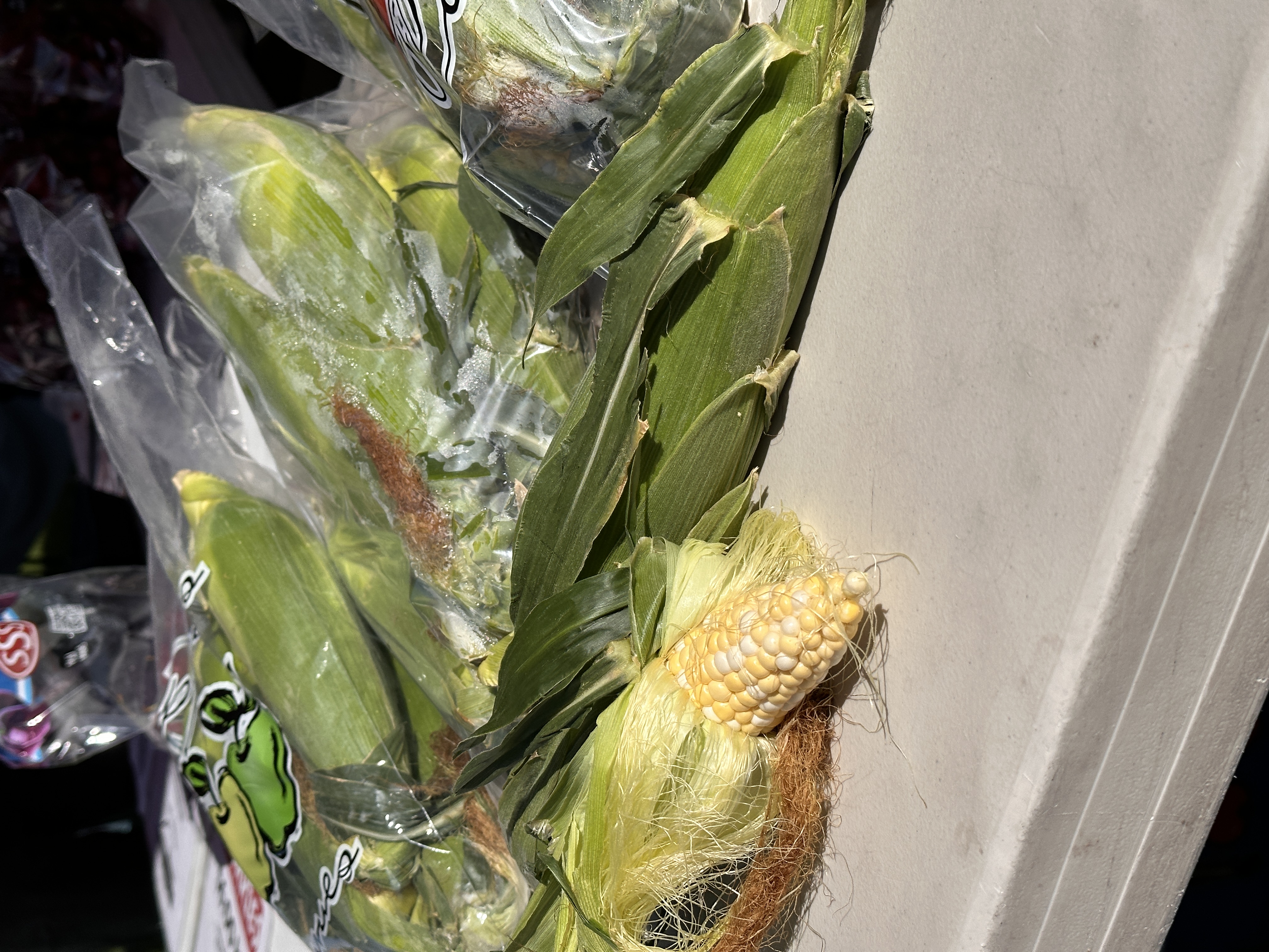 Corn