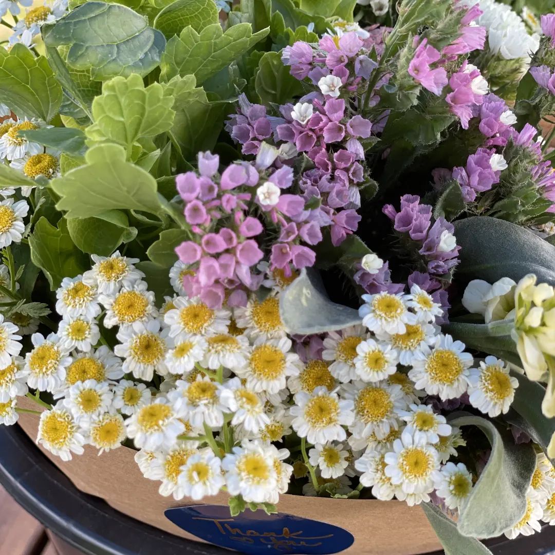 Flower arrangement