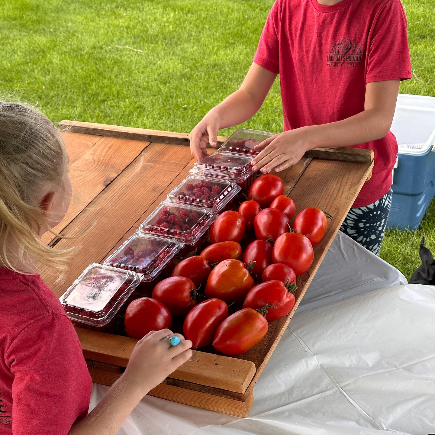 Tomatoes