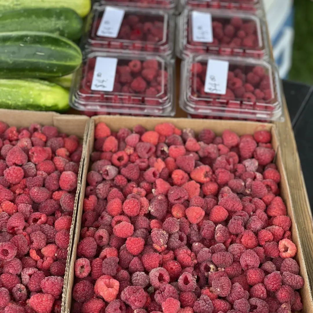 Raspberries