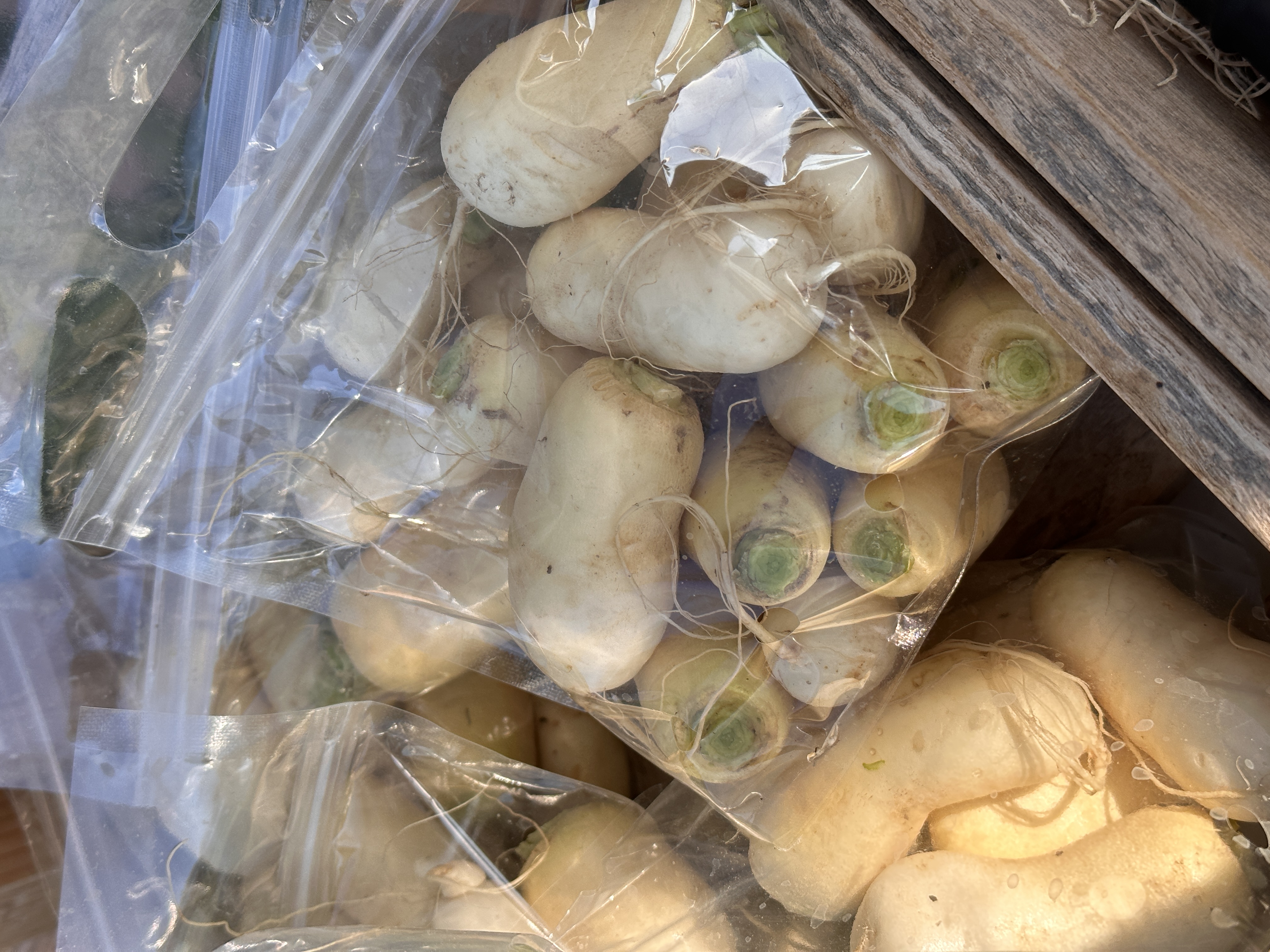 Turnips