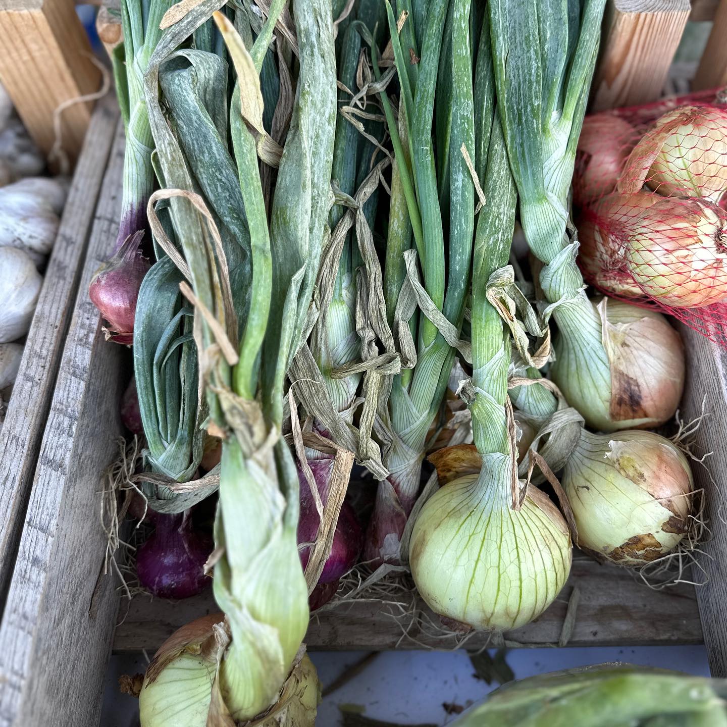 Assorted vegetables